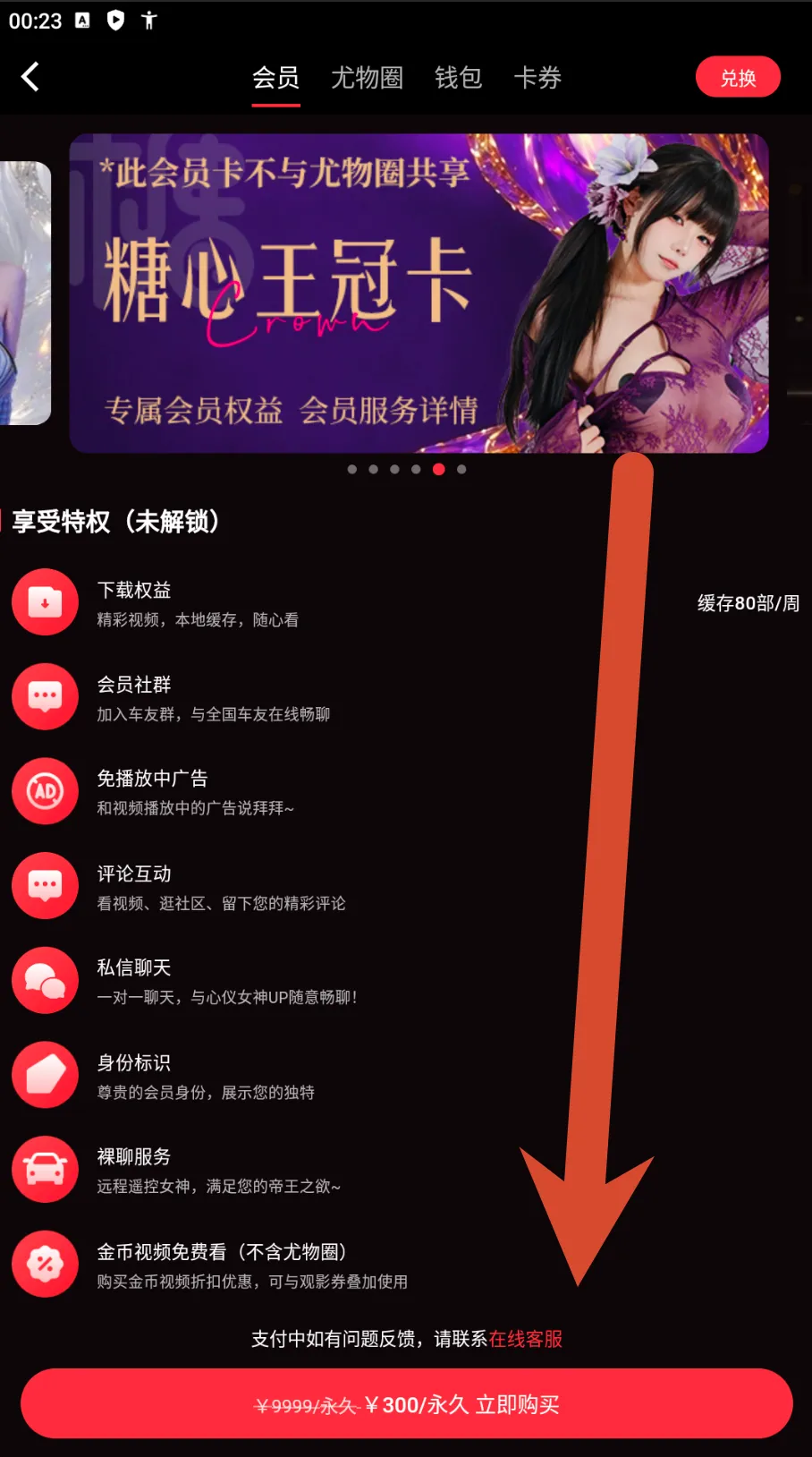 糖心Vlog皇冠会员卡价格截图